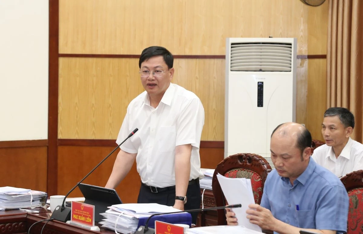 Thảo luận, cho ý kiến vào các chương trình, kế hoạch, chính sách thúc đẩy phát triển kinh tế - xã hội