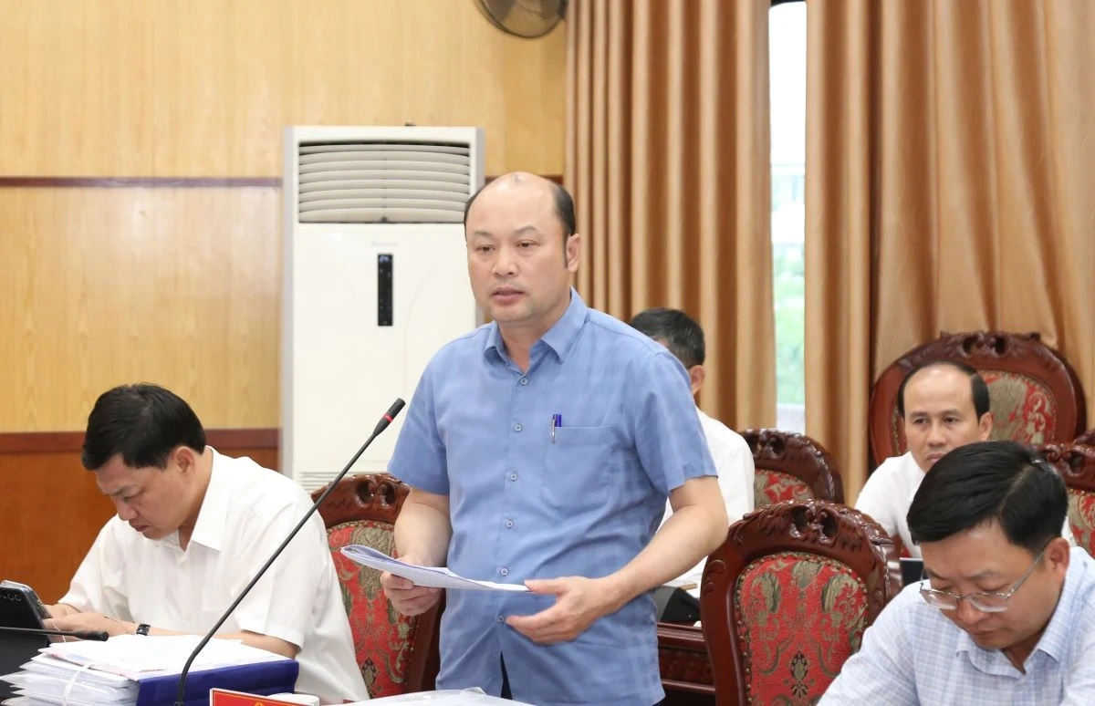 Thảo luận, cho ý kiến vào các chương trình, kế hoạch, chính sách thúc đẩy phát triển kinh tế - xã hội