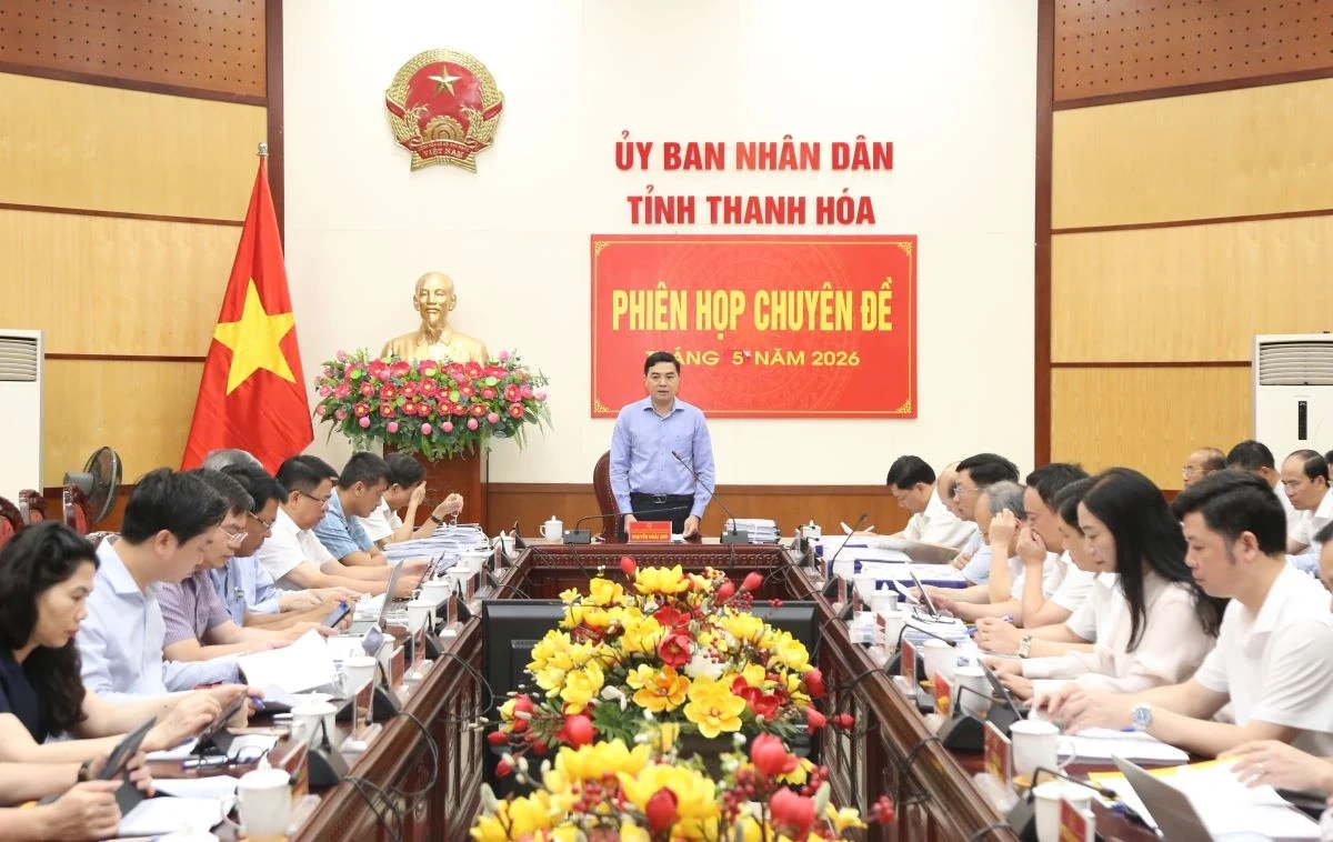 Thảo luận, cho ý kiến vào các chương trình, kế hoạch, chính sách thúc đẩy phát triển kinh tế - xã hội
