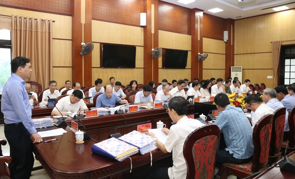 Thảo luận, cho ý kiến vào các chương trình, kế hoạch, chính sách thúc đẩy phát triển kinh tế - xã hội