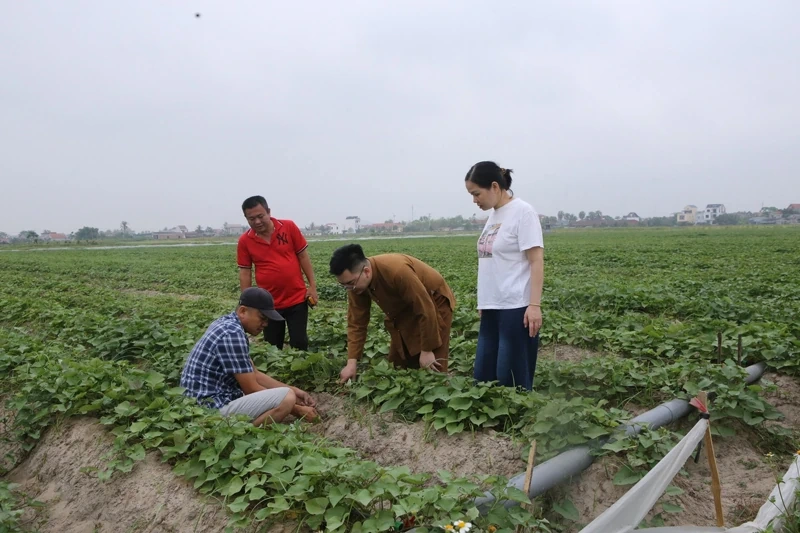 Ứng dụng công nghệ tưới tiết kiệm trong sản xuất nông nghiệp