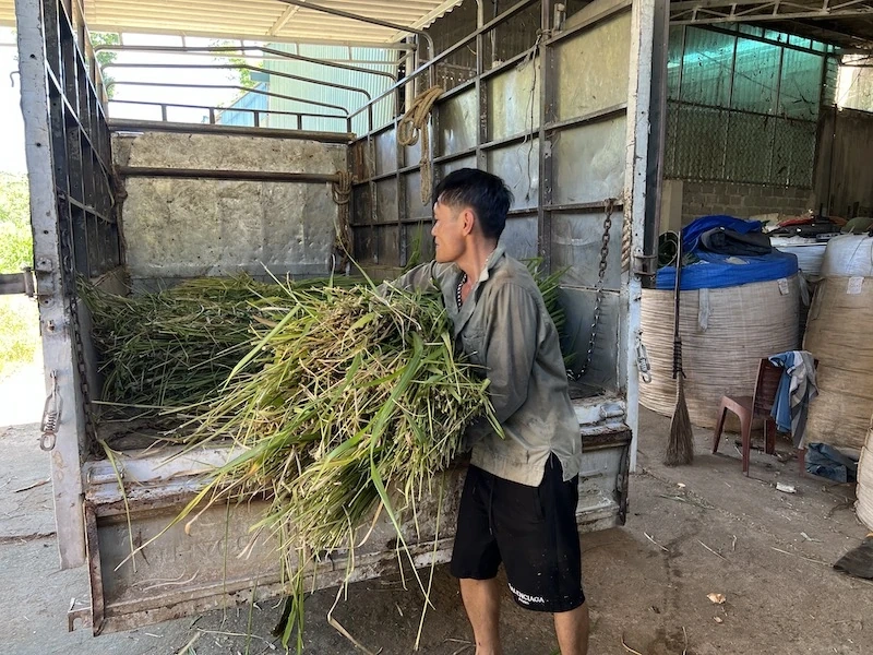 Chủ động bảo vệ đàn vật nuôi trong những ngày nắng nóng