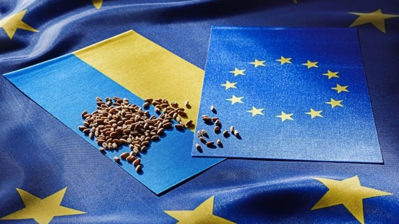 Ba nước EU duy trì lệnh cấm đơn phương đối với một số nông sản Ukraine