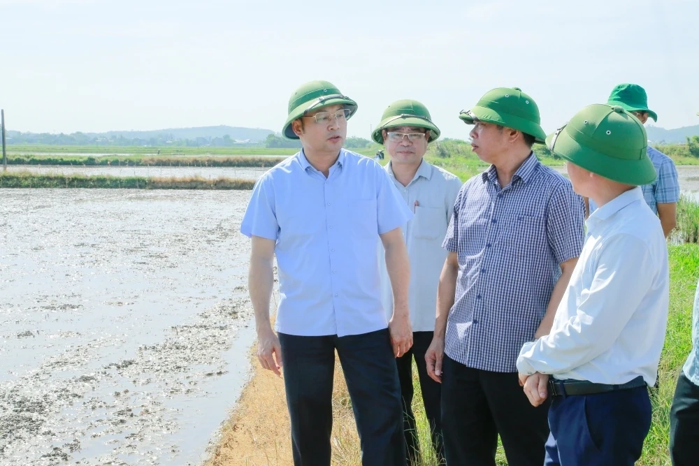 Đẩy nhanh tiến độ sản xuất vụ Thu Mùa, bảo đảm gieo cấy tối đa diện tích
