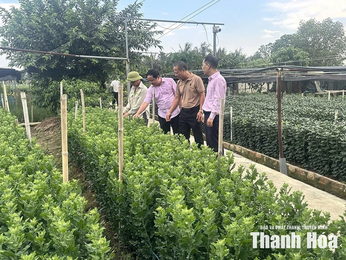 Điểm tựa phát triển kinh tế bền vững