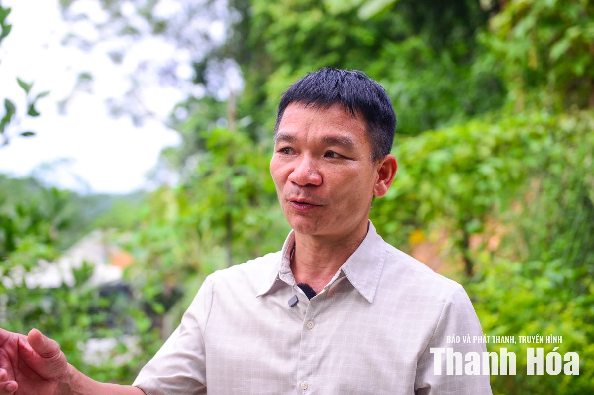 Đường điện võng sát đất, hơn 20 hộ dân sống trong nỗi lo 