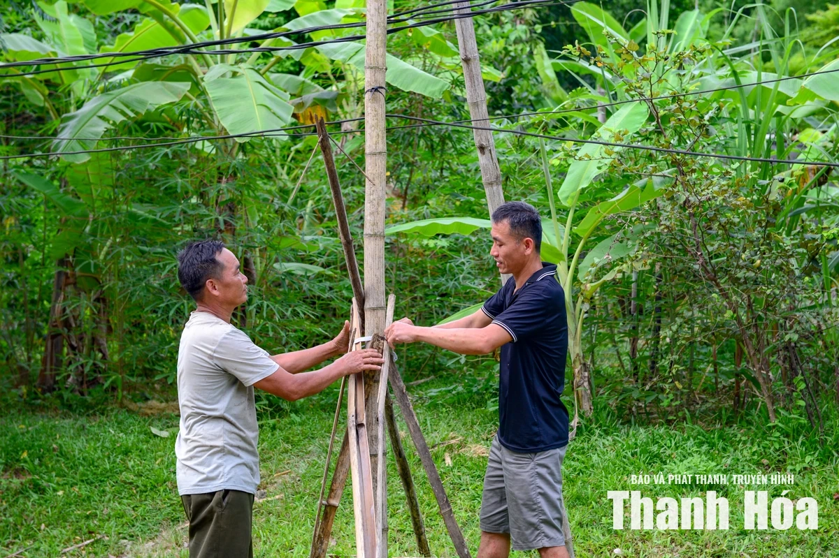 Đường điện võng sát đất, hơn 20 hộ dân sống trong nỗi lo 