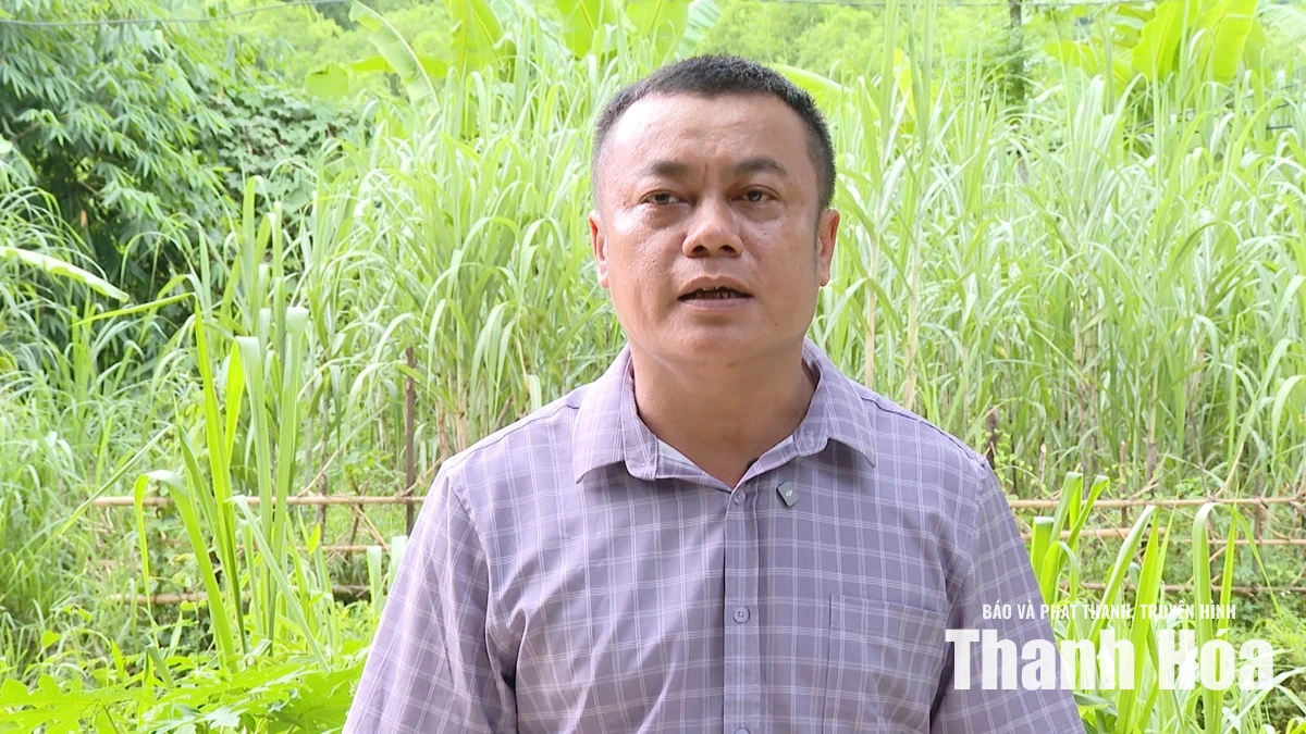 Đường điện võng sát đất, hơn 20 hộ dân sống trong nỗi lo 