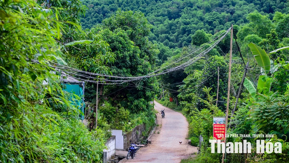 Đường điện võng sát đất, hơn 20 hộ dân sống trong nỗi lo 