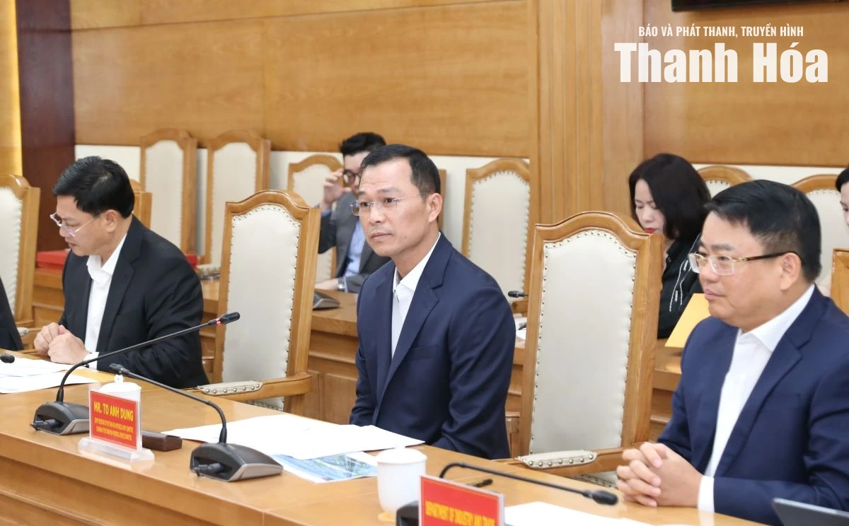 Chủ tịch UBND tỉnh Tô Anh Dũng làm việc với Tập đoàn Sumitomo, Nhật Bản