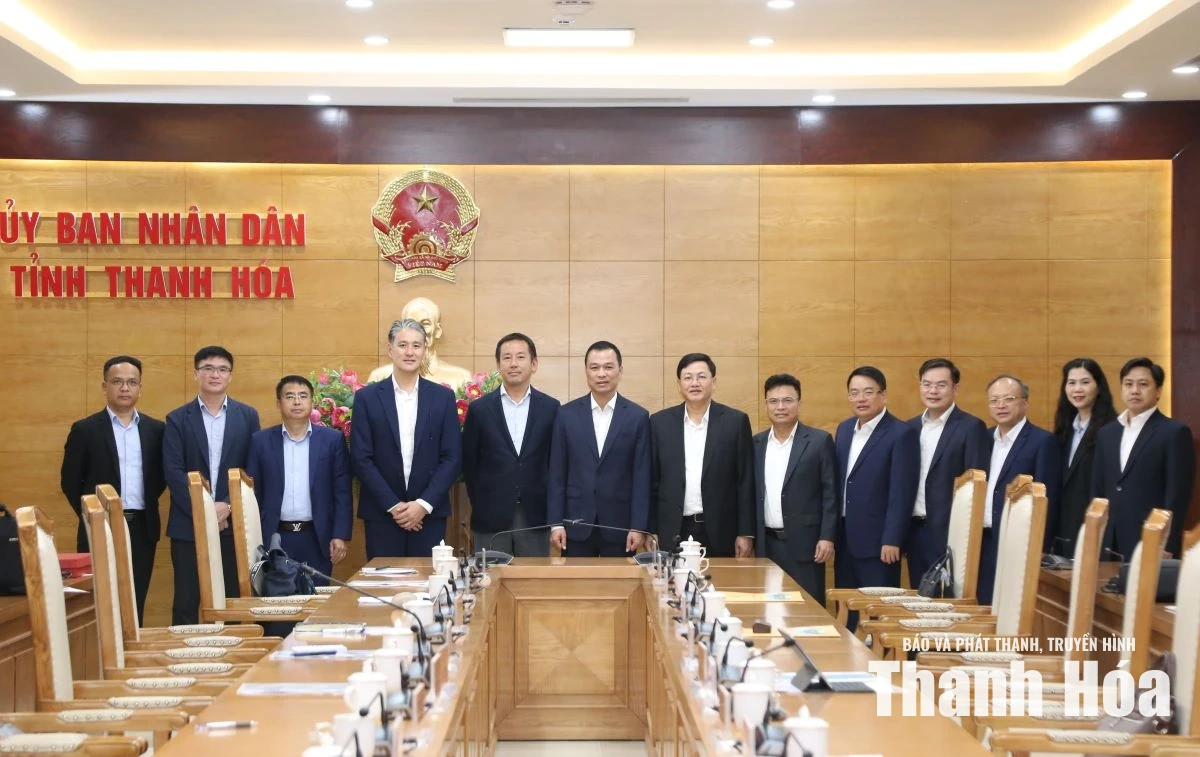 Chủ tịch UBND tỉnh Tô Anh Dũng làm việc với Tập đoàn Sumitomo, Nhật Bản