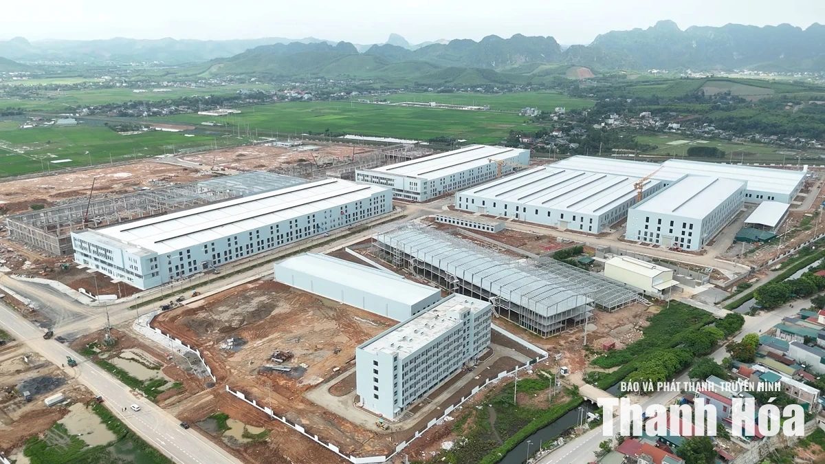 Ưu tiên chế biến sâu và sản xuất xanh