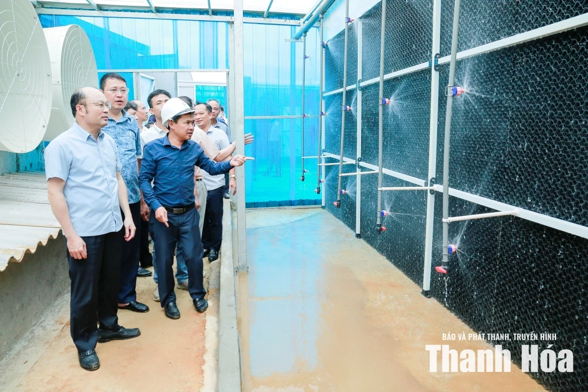 Phó Chủ tịch UBND tỉnh Cao Văn Cường kiểm tra tiến độ dự án chăn nuôi công nghệ cao và đô thị Ngọc Lặc