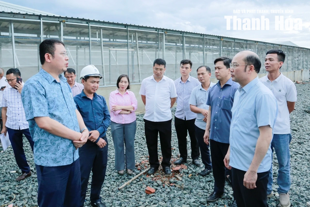 Phó Chủ tịch UBND tỉnh Cao Văn Cường kiểm tra tiến độ dự án chăn nuôi công nghệ cao và đô thị Ngọc Lặc