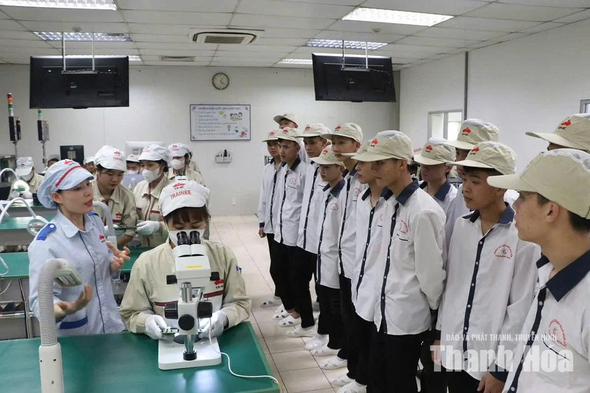Chuẩn hóa đội ngũ người dạy nghề để nâng cao chất lượng đào tạo