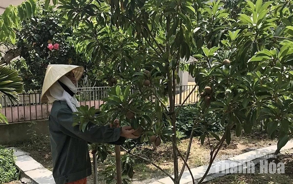 Ứng dụng khoa học - kỹ thuật vào sản xuất