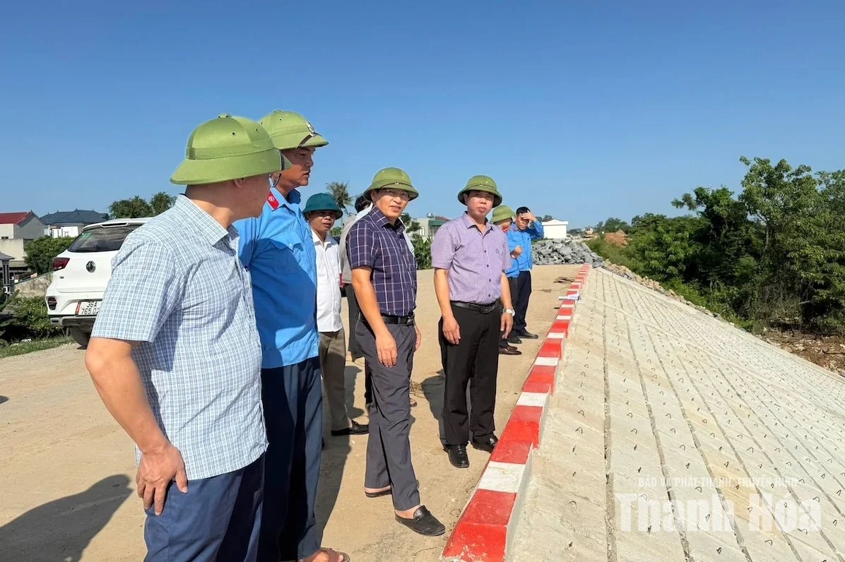 Bảo đảm an toàn tuyệt đối các tuyến đê trung ương trên địa bàn tỉnh