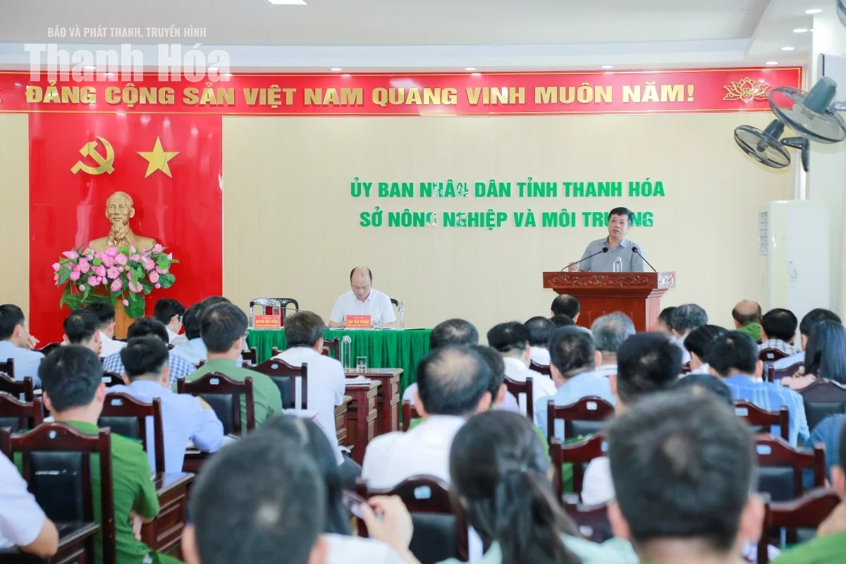 Siết chặt quản lý môi trường, dịch bệnh và an toàn lao động trong chăn nuôi
