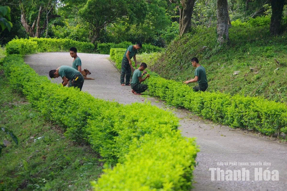 Hòn Mê - từ trầm tích lửa đến màu xanh nơi đầu sóng