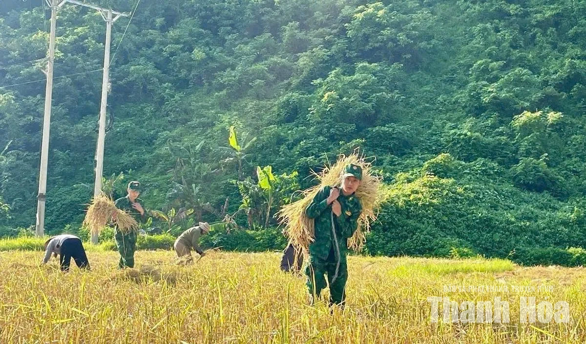Gắn bó quân dân, xây dựng Tam Chung giàu đẹp