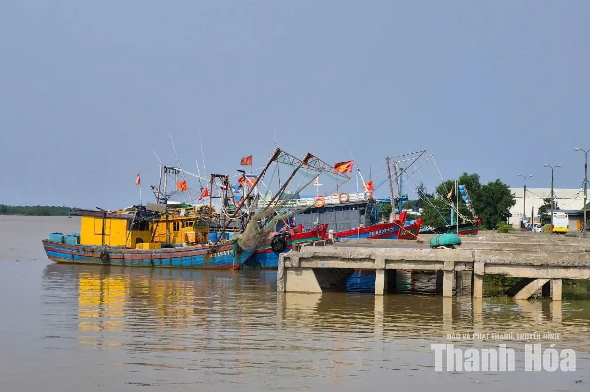 Sẵn sàng tiếp nhận tàu thuyền vào âu neo đậu tránh trú bão