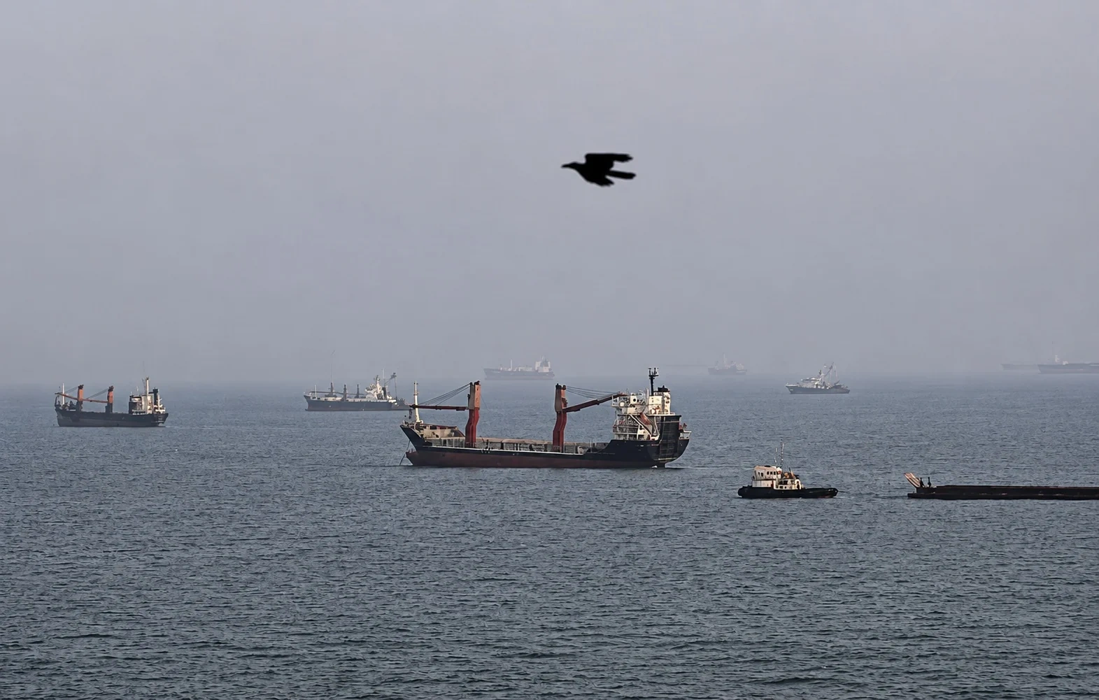Eo biển Hormuz gần như tê liệt, nhưng dòng dầu vẫn âm thầm được duy trì