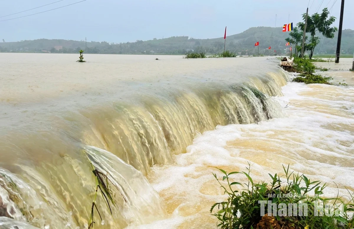 Hàng trăm ha cây trồng ở các xã Vân Du, Kim Tân bị ngập lụt