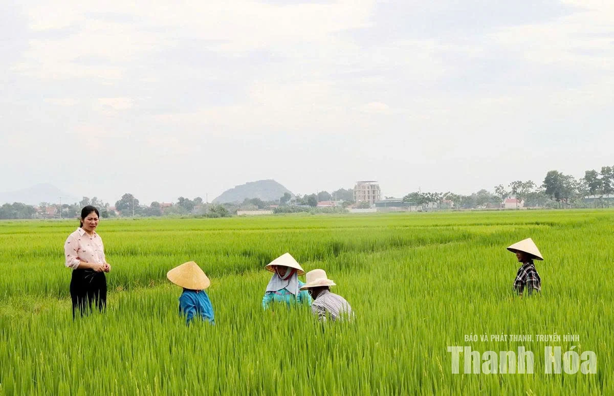 Mở không gian, tạo động lực phát triển