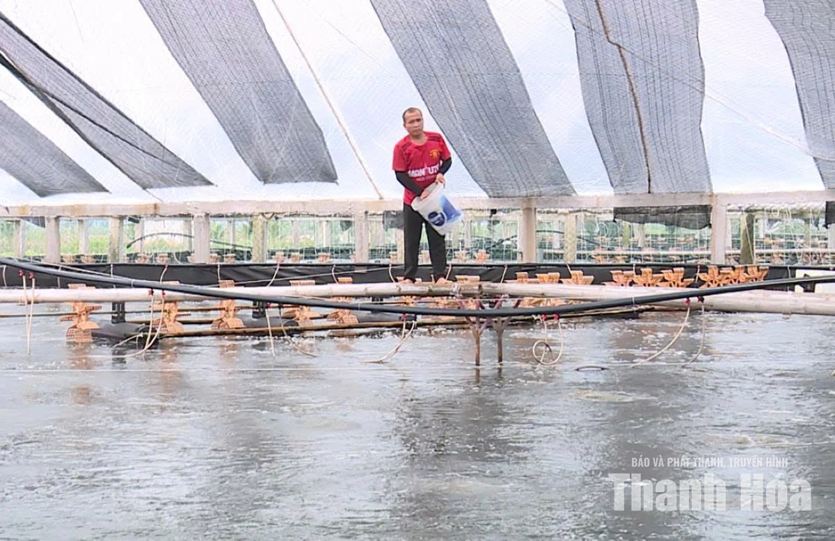 Sản xuất nông nghiệp phi thời vụ gắn với nhu cầu thị trường