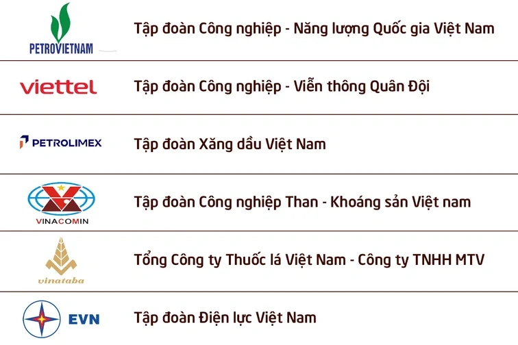 Công bố 100 DNNN nộp ngân sách lớn nhất Việt Nam