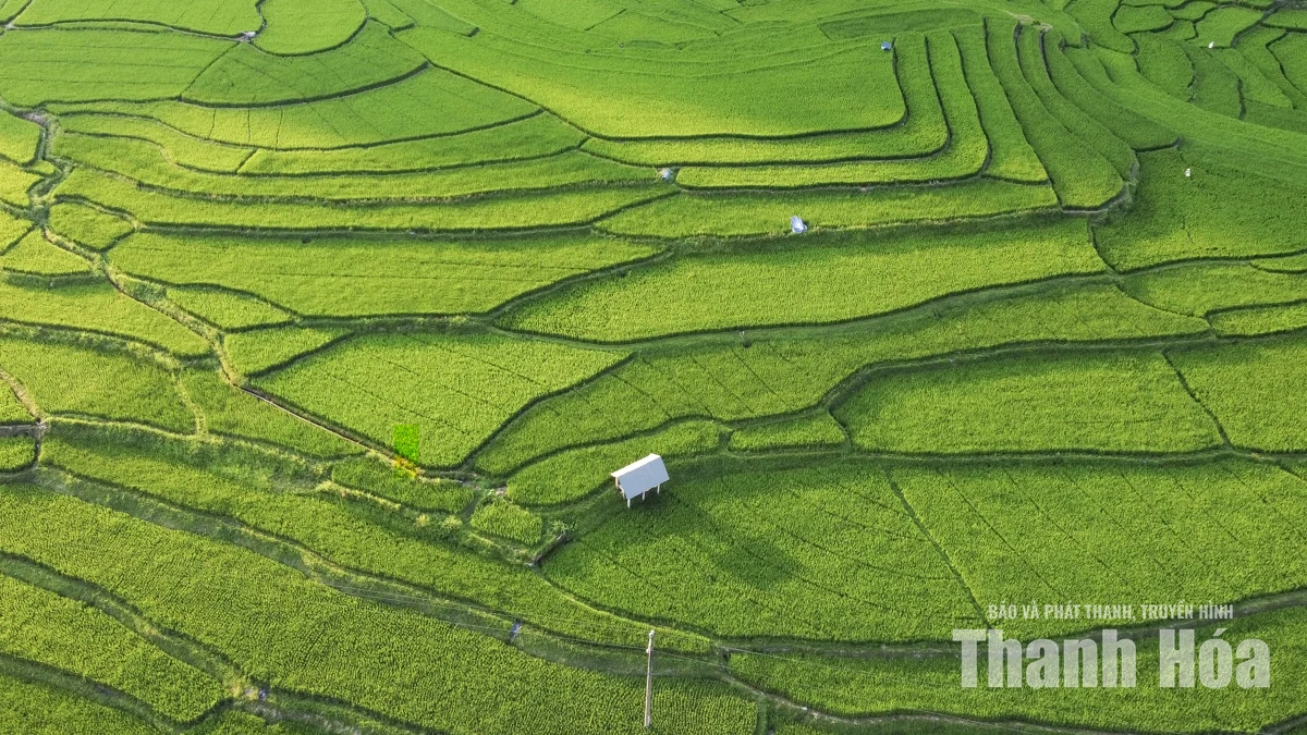 Bản Ngàm “thức giấc” bên dòng sông Luồng