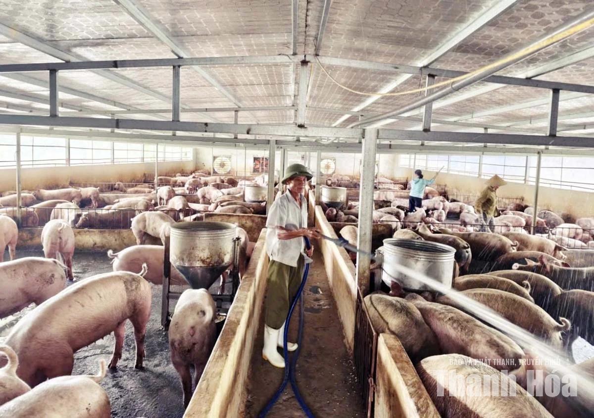 Người cao tuổi xã Lưu Vệ phát huy vai trò “Tuổi cao - gương sáng”