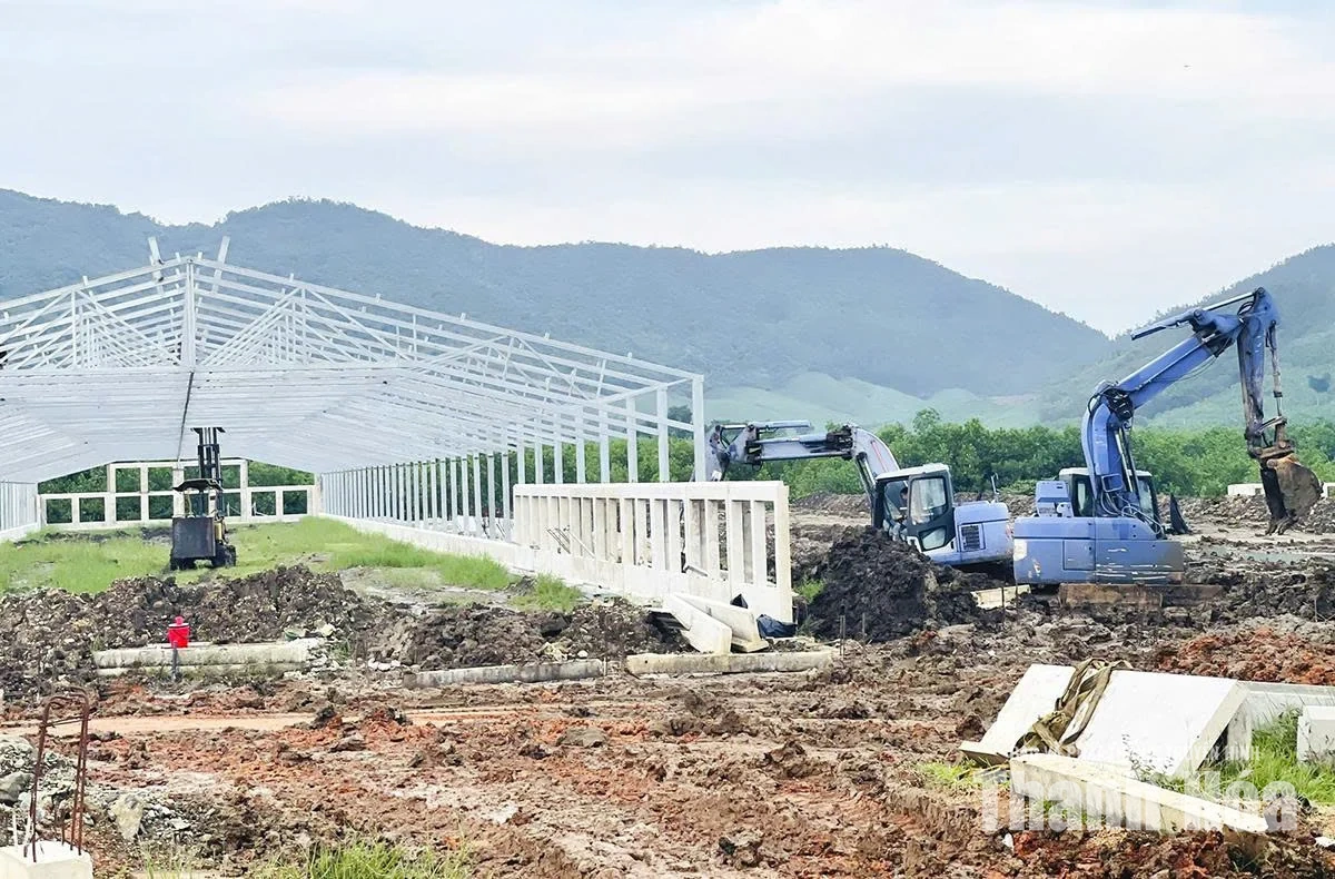 Đẩy nhanh tiến độ các dự án chăn nuôi quy mô lớn