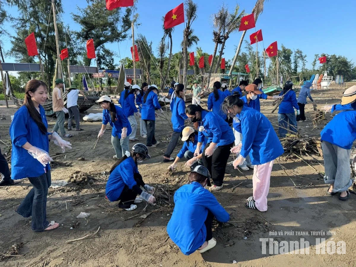 Các khu du lịch biển tổng vệ sinh sau mưa lớn