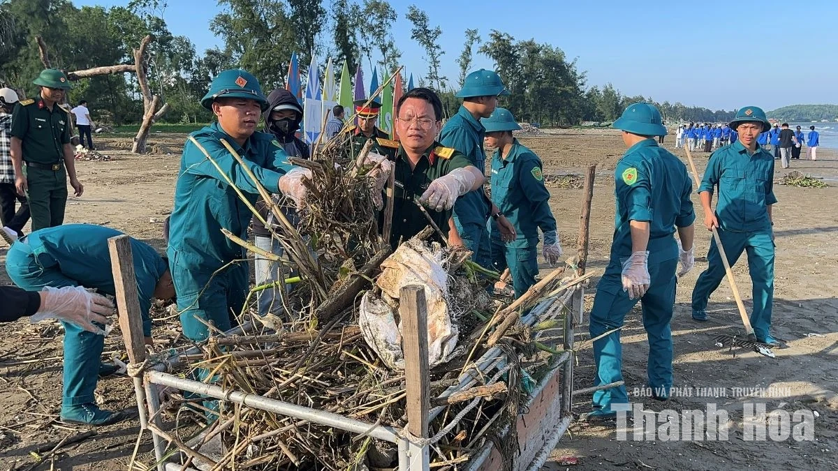 Các khu du lịch biển tổng vệ sinh sau mưa lớn