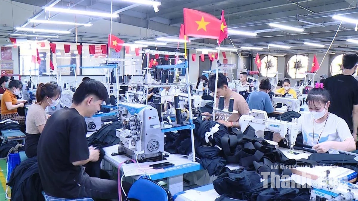 Sử dụng năng lượng hiệu quả, tạo động lực cho chuyển đổi xanh