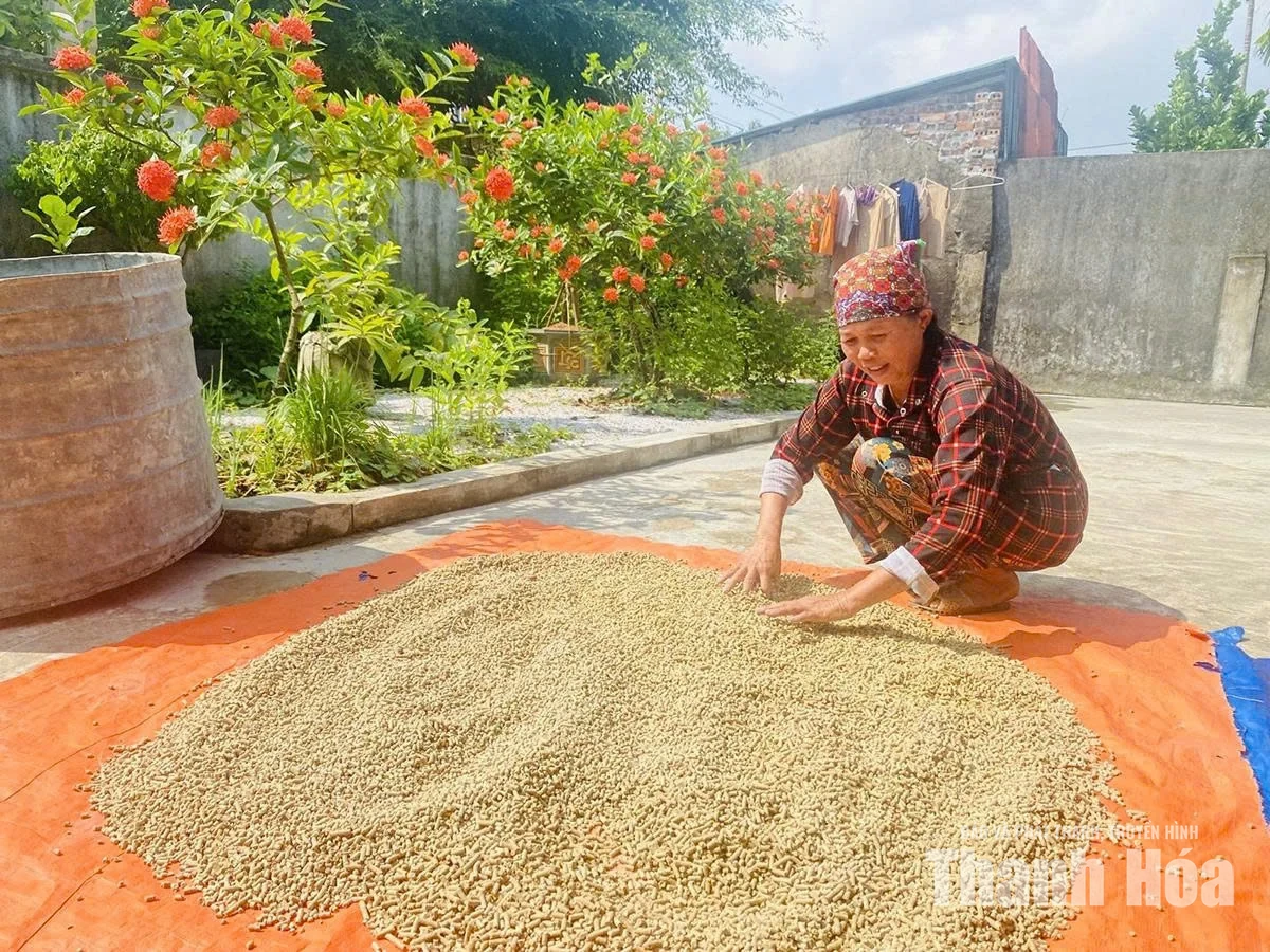Đổi thay nhận thức - giảm nghèo bền vững