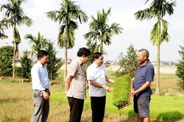 Định Tân xác định rõ tiềm năng để phát triển