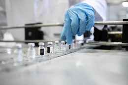 Chuyên gia cảnh báo cúm gia cầm A/H9N2 có thể gây đại dịch ở người