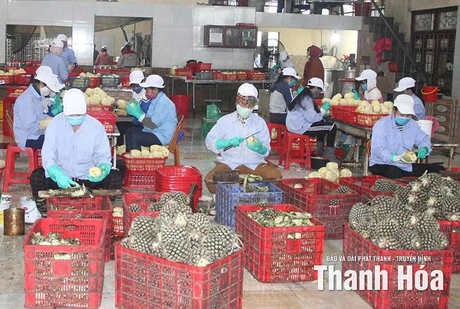 Không để gián đoạn Chương trình OCOP sau khi vận hành chính quyền địa phương 2 cấp