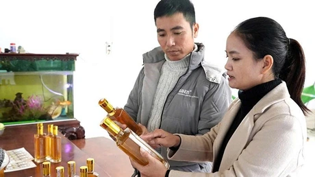 Biện Thượng phát triển sản phẩm OCOP