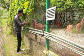 Trao sinh kế cho hộ nghèo