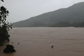 Dự báo lũ trên sông Thu Bồn tại Câu Lâu và Hội An sẽ vượt mốc lịch sử năm 1964