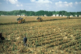 EU gia tăng sức ép, buộc Ba Lan, Hungary và Slovakia dỡ bỏ lệnh cấm nhập khẩu hàng Ukraine