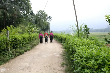 Gìn giữ “không gian xanh” trong XDNTM