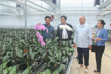 Người tiên phong ứng dụng nông nghiệp tuần hoàn