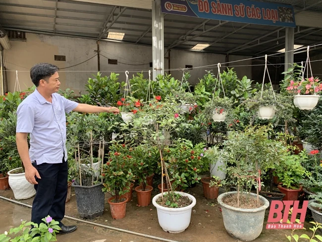 Nghề trồng hoa, cây cảnh chuẩn bị vào vụ tết