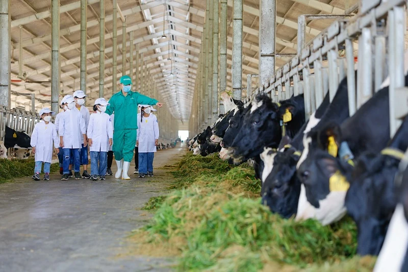 Vinamilk và Quỹ sữa Vươn cao Việt Nam tổ chức nhiều hoạt động đồng hành nhân dịp 15 thành lập