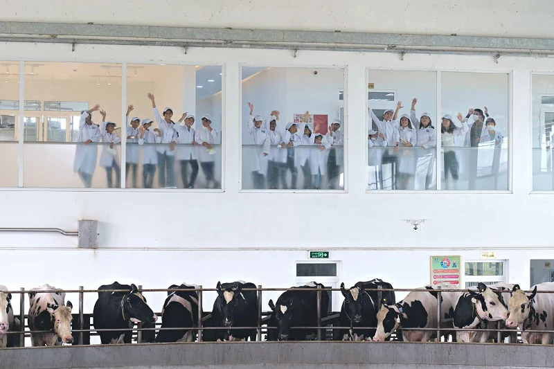 Vinamilk và Quỹ sữa Vươn cao Việt Nam tổ chức nhiều hoạt động đồng hành nhân dịp 15 thành lập