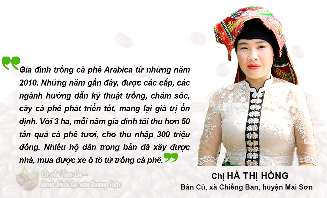 Cà phê Sơn La - Hành trình tạo nên thương hiệu
